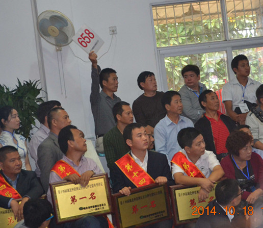 第14届湖北省种猪拍卖会在武汉成功召开
